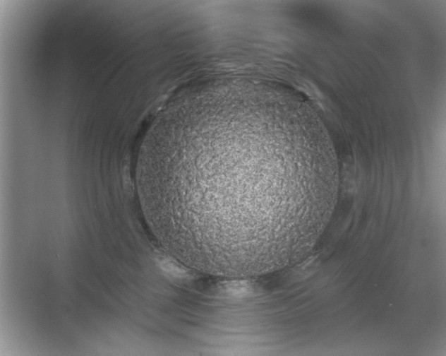 X0000070400377200606121310