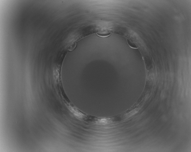 X0000070400382200606121310