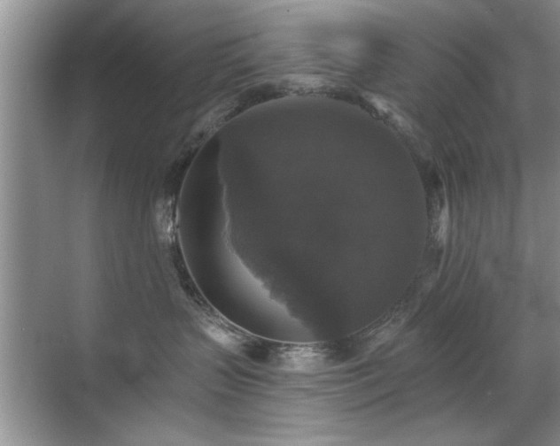X0000070400383200606121310
