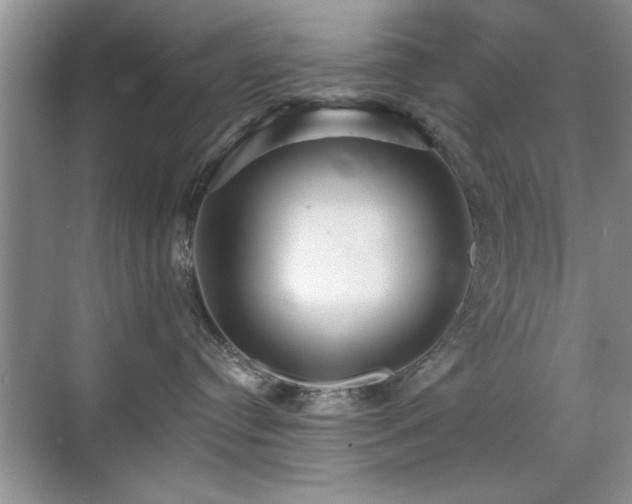X0000070400384200606121310