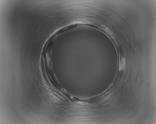 X0000070400387200606121309
