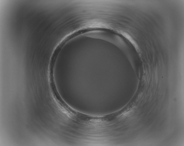 X0000070400391200606121309