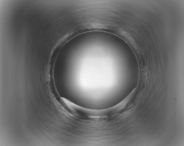 X0000070400395200606121309