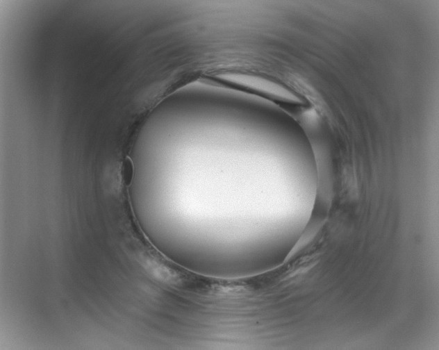 X0000070400401200606121309