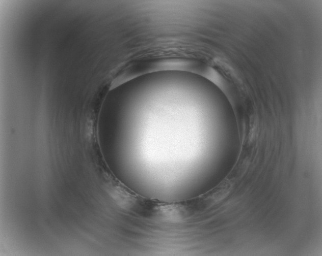 X0000070400417200606121309