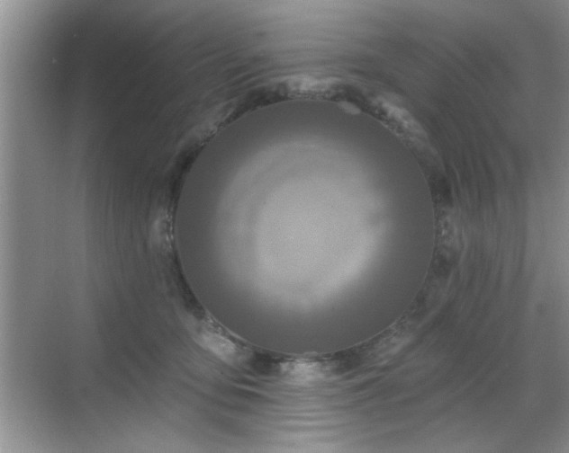X0000070400419200606121309