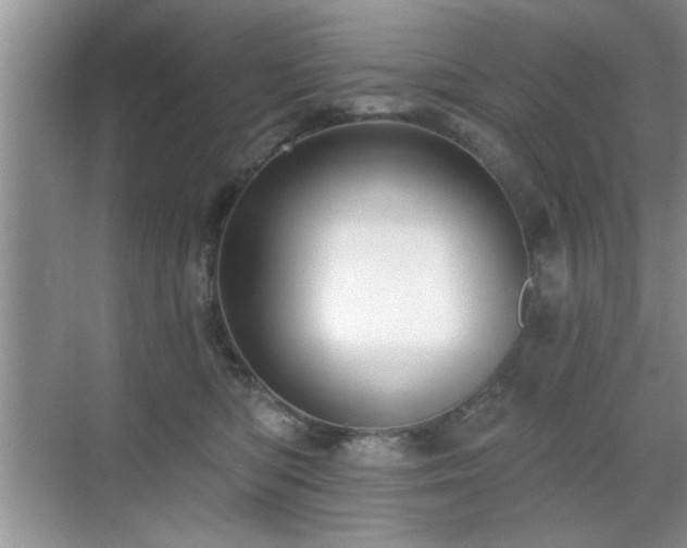 X0000070400422200606121309