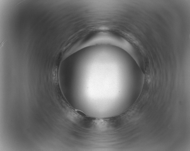 X0000070400425200606121309
