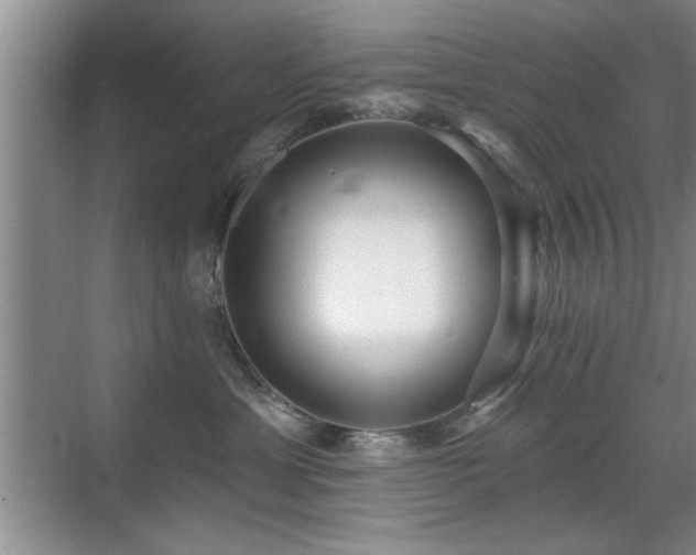 X0000070400429200606121309