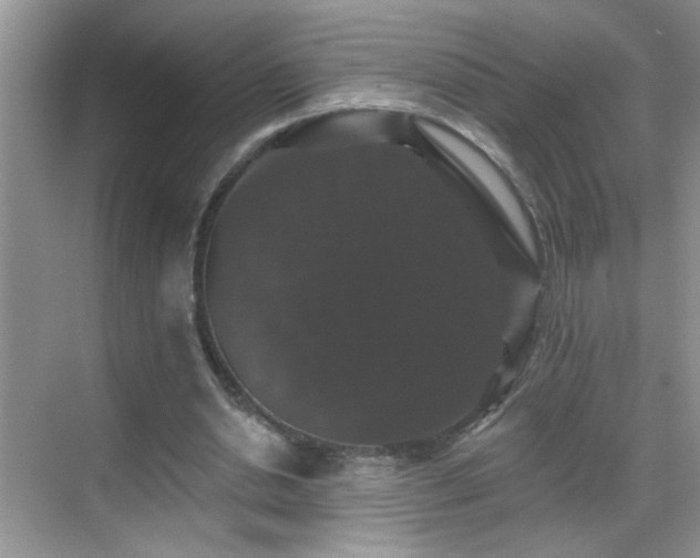 X0000070400438200606121308