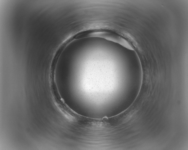 X0000070400439200606121308
