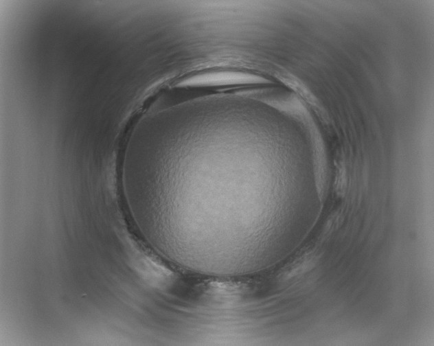 X0000070400442200606121308
