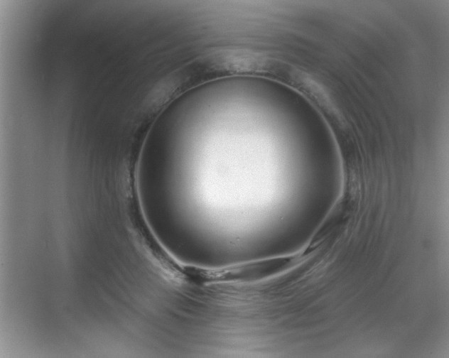 X0000070400453200606121308