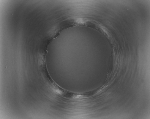 X0000070400467200606121308