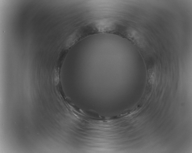 X0000070400471200606121308