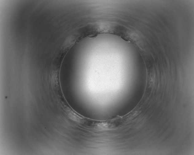 X0000070400473200606121308