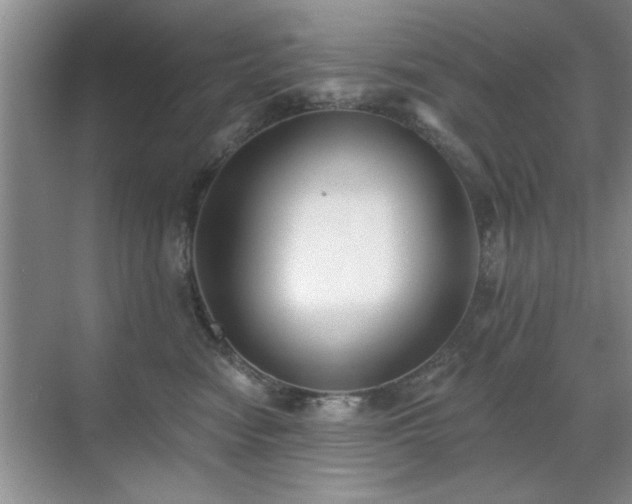X0000070400474200606121308