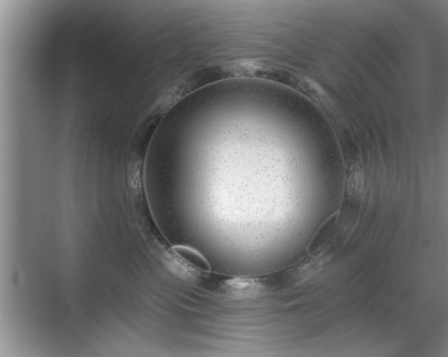 X0000070400477200606121308