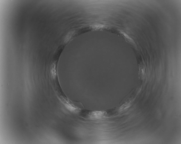 X0000070400479200606121308
