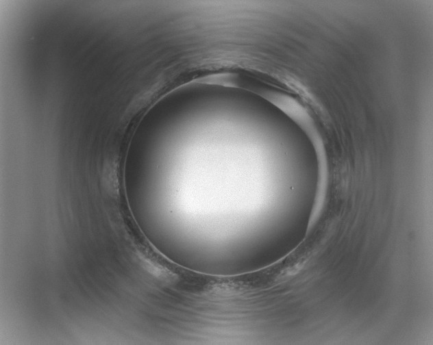 X0000070400489200606121308