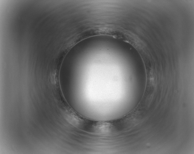 X0000070400514200606121307