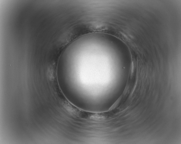 X0000070400515200606121307