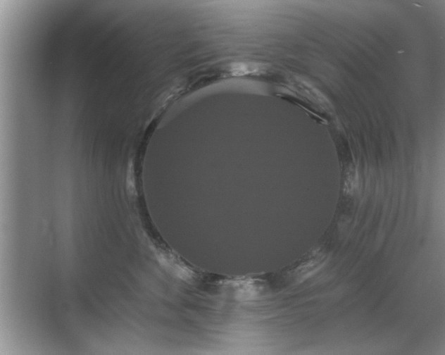 X0000070400524200606121307