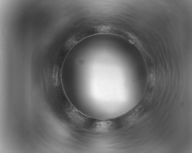 X0000070400525200606121307