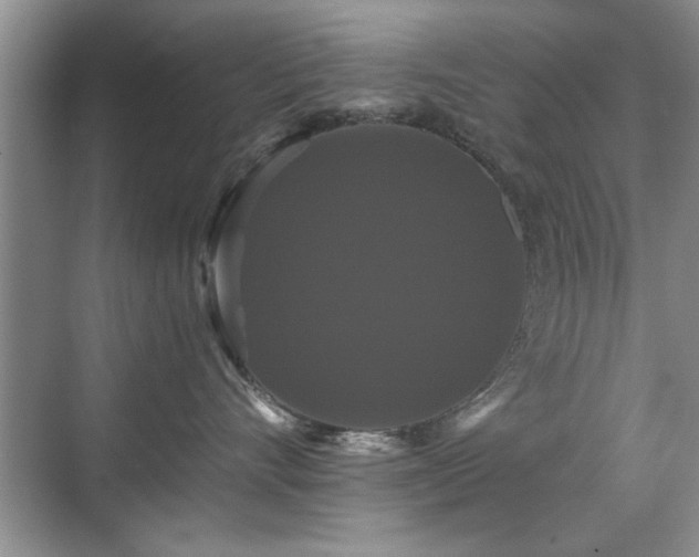 X0000070400528200606121307