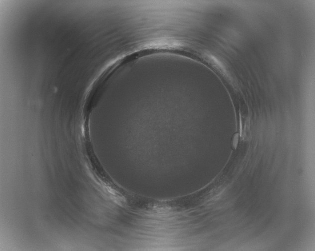 X0000070400531200606121306