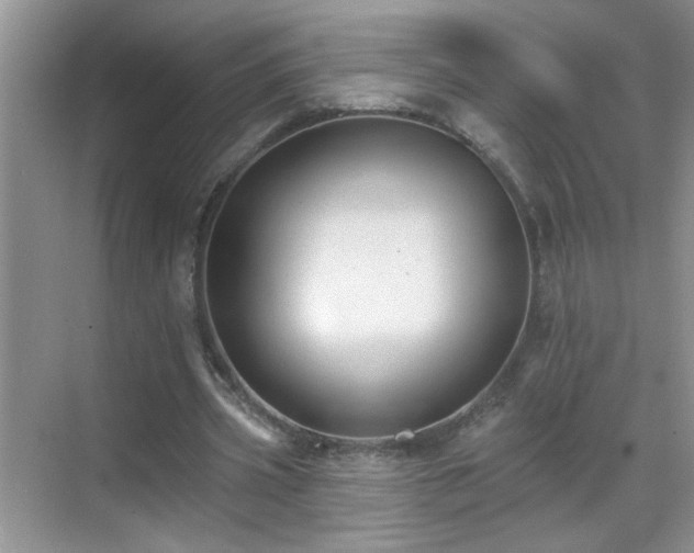 X0000070400533200606121306