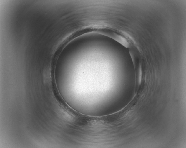 X0000070400535200606121306