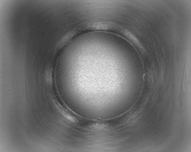 X0000070400537200606121306