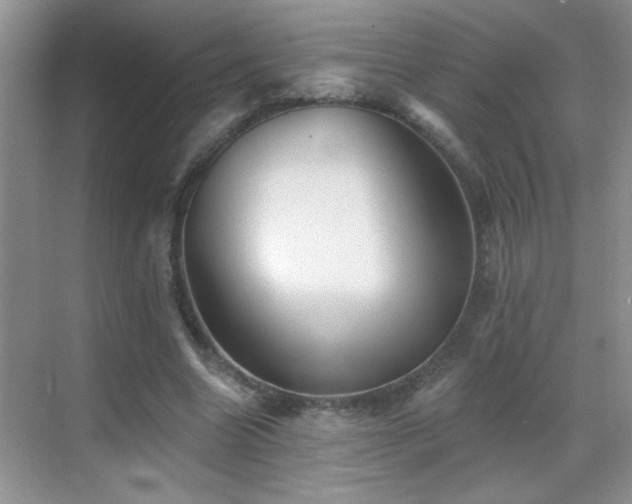 X0000070400538200606121306