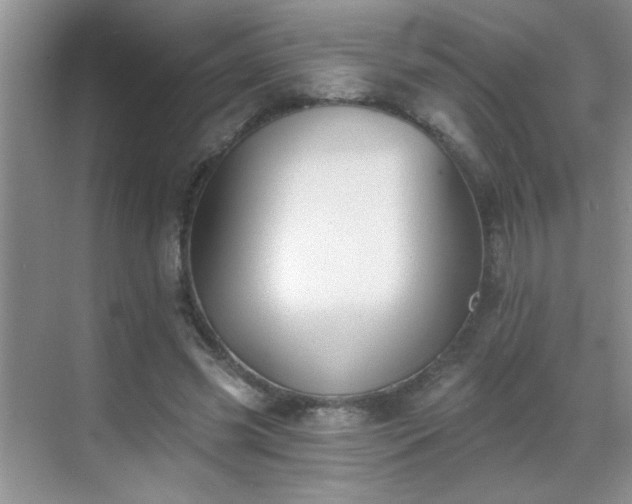 X0000070400541200606121306