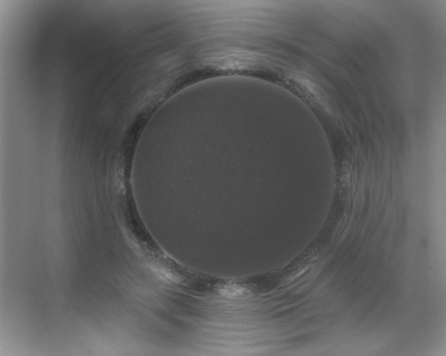 X0000070400547200606121306