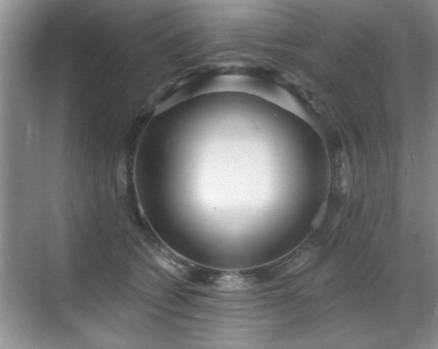 X0000070400562200606121307