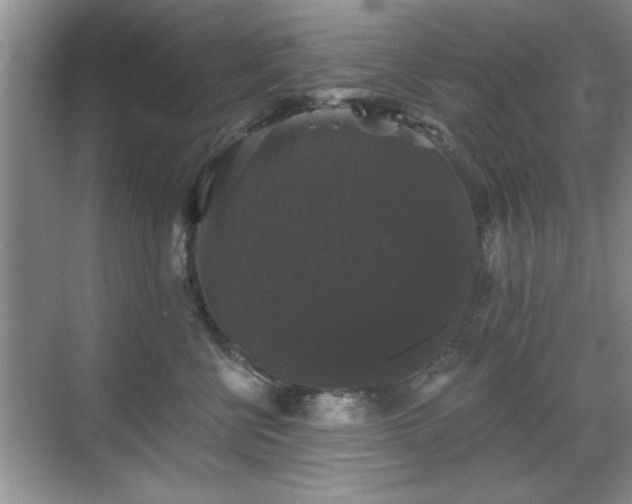 X0000070400570200606121307