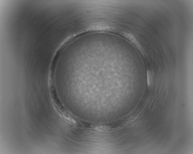 X0000070400579200606121306