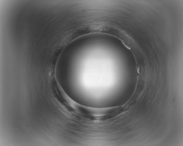 X0000070400601200606121306