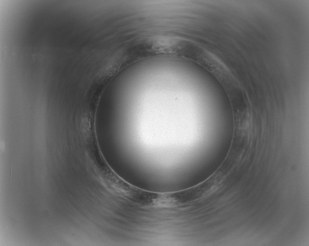 X0000070400603200606121306