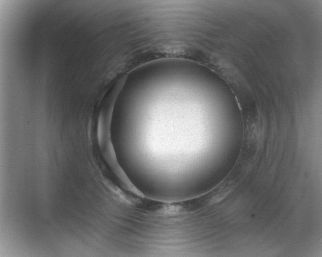 X0000070400609200606121305