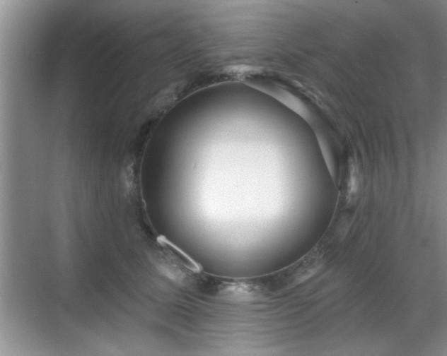 X0000070400611200606121305