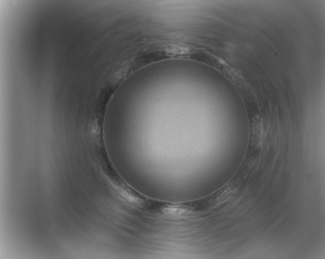 X0000070400614200606121305