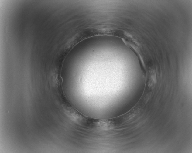 X0000070400615200606121305