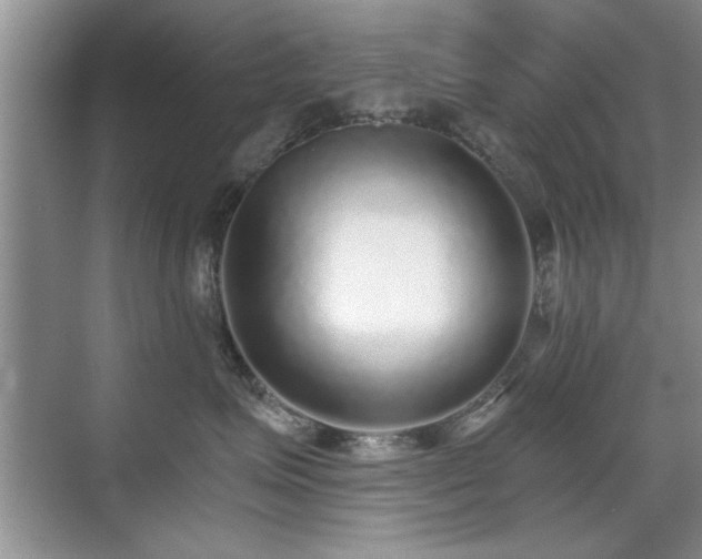 X0000070400623200606121305