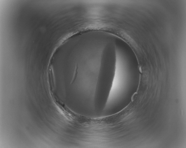 X0000070400626200606121304
