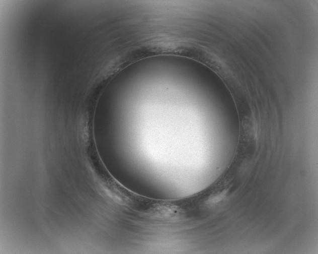 X0000070400642200606121305