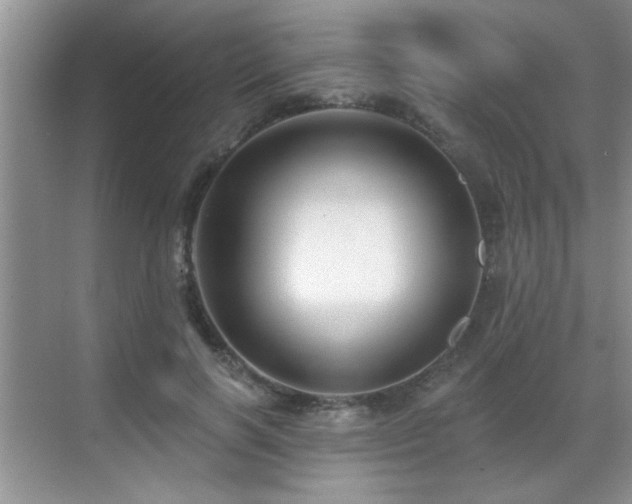 X0000070400646200606121305