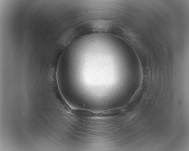 X0000070400649200606121305